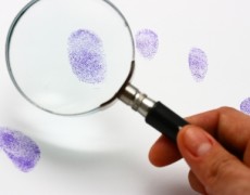 La moda disciplinare del momento: la criminologia